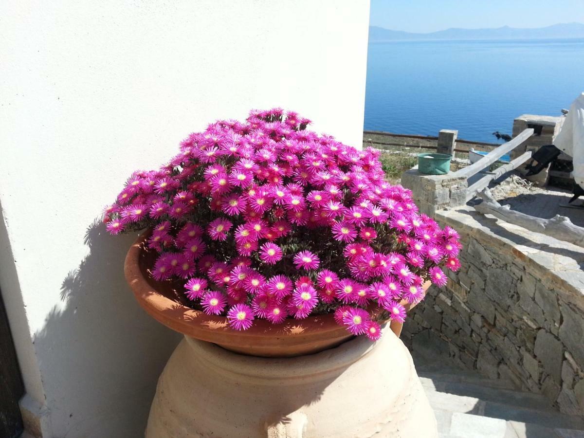 Aegean View - Seaside Apartment In Syros Azolimnos Zewnętrze zdjęcie
